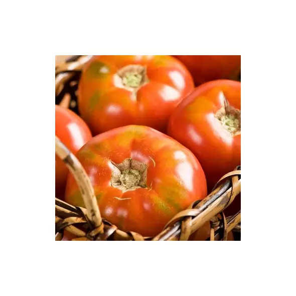 Tomato, Big Boy Untreated - 500 Sd Ct
