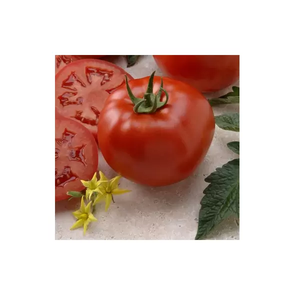 Tomato, Better Boy Untreated - 5,000 Sd Ct