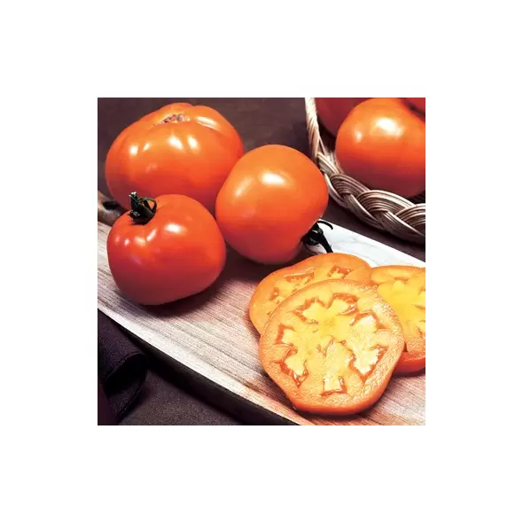 Tomato, Golden Jubilee - 1/4oz