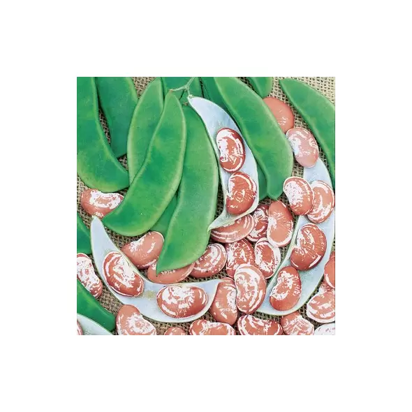 Limas, Jackson Wonder - 1/2lb