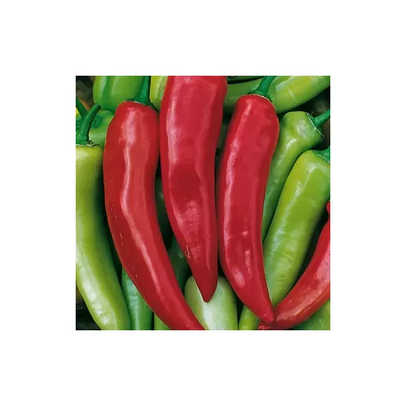 Peppers, Hungarian Hot Wax - 1/2lb