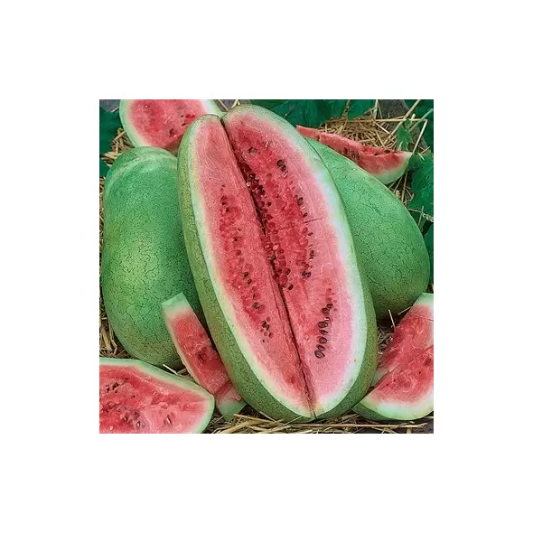 Watermelon, Charleston Grey 5,000 Seed Count