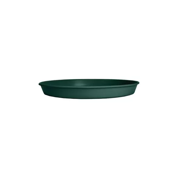 HC 8" Prima Saucer in Evergreen