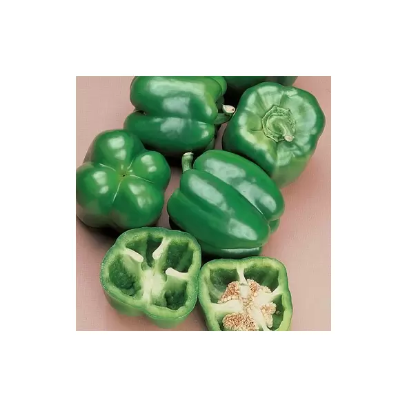 Peppers, North Star Treated - 1,000 Seed Count
