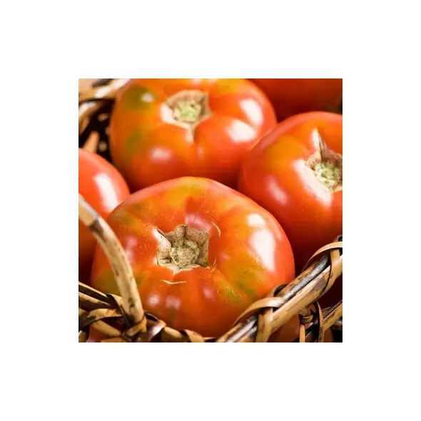 Tomato, Burpees Big Boy Treated - 100 Seed Count