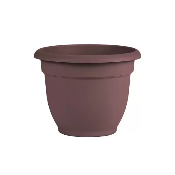 Bloem 6" Ariana w/ Grid Planter Merlot