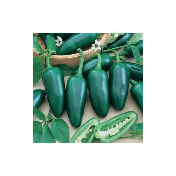 Peppers, Early Jalapeno - 5,000 Seed Count