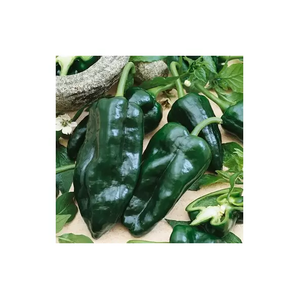 Peppers, Poblano - 1,000 Seed Count