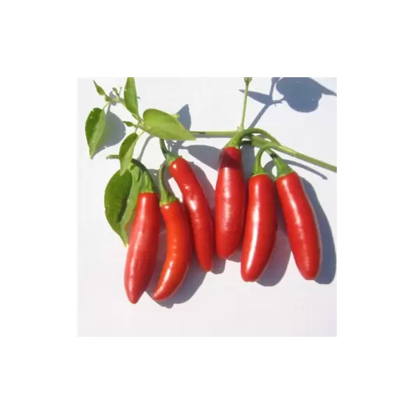 Peppers, Serrano Tampiqueno - 10,000 Seed Count