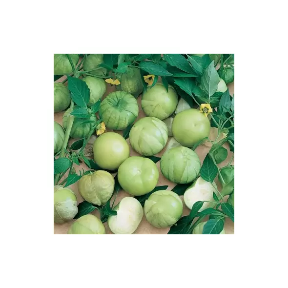 Tomatillo, Verde - 10,000 Seed Count
