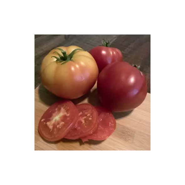 Tomato, Abe Lincoln - 1,000 Seed Count