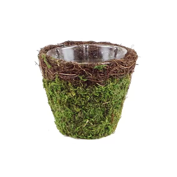 SuperMoss Small Deco Basket Vineyard Fresh Green