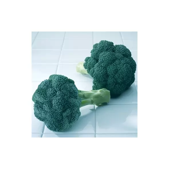 Broccoli, Diplomat Treated - 100 Seed Count