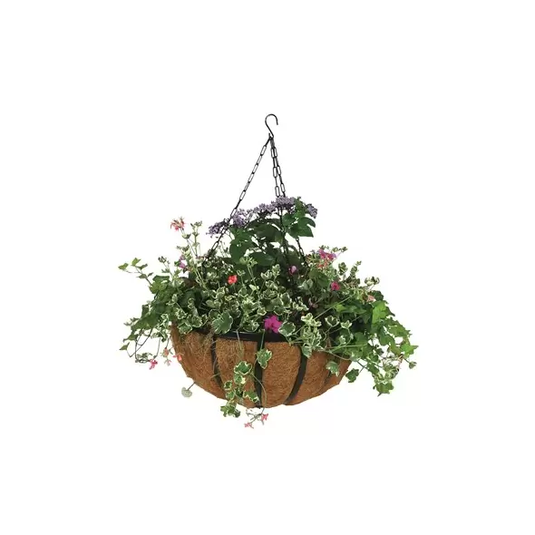WSP 14" Forge Hanging Basket With Coco Liner
