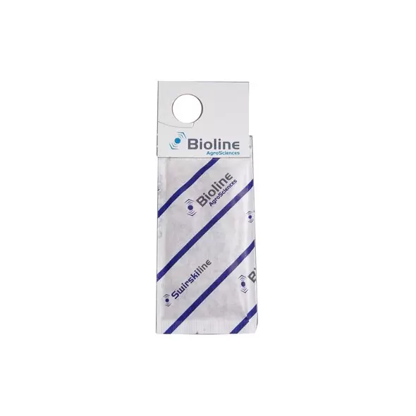 Bioline Starskii 1K Mini Sachet 250,000 Amblyseius swirskii ( Thrips Whitefly )
