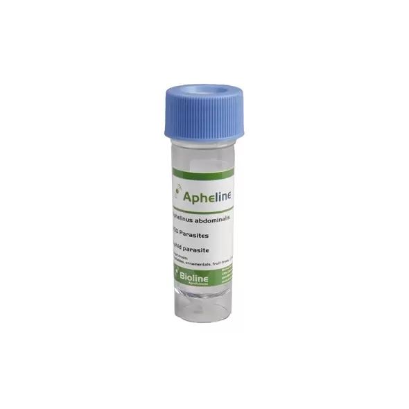 Aphelinus abdominalis 250/vial ( Aphids )