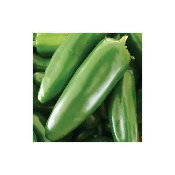 Peppers, Jalapeno M - 10,000 Seed Count