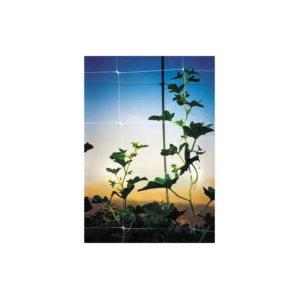 Tenax 48"x250' Plant Trellis Net Hortonova