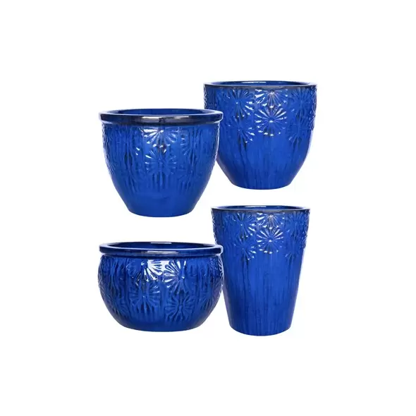 MCarr 26pc Mixed Daisy Planter Pallet Admiral Blue