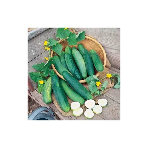Cucumber, Sweet Success PS - 10,000 Seed Count