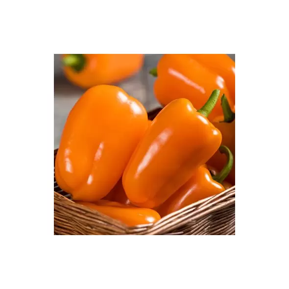 Peppers, Orange Blaze Treated - 500 Seed Count