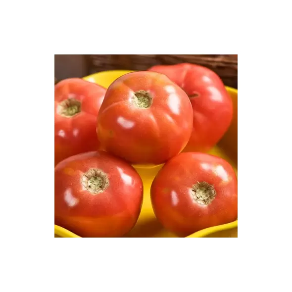 Tomato, Pink Girl Hybrid Treated - 10,000 Seed Count