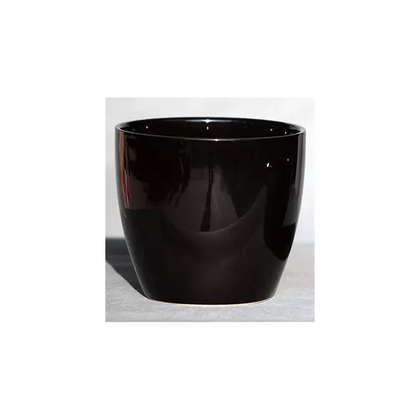 Palm Spring 7.5" Pc Lily Cache GBK