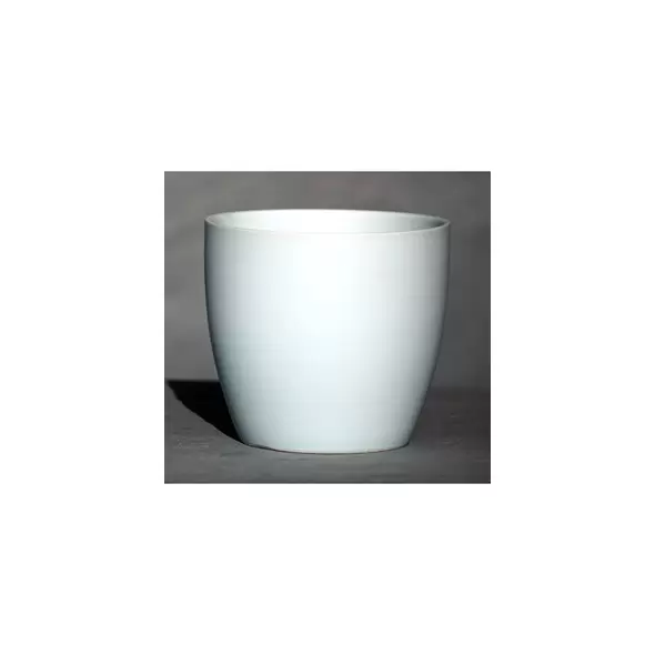 Palm Spring 7.5" Pc Lily Cache MLB