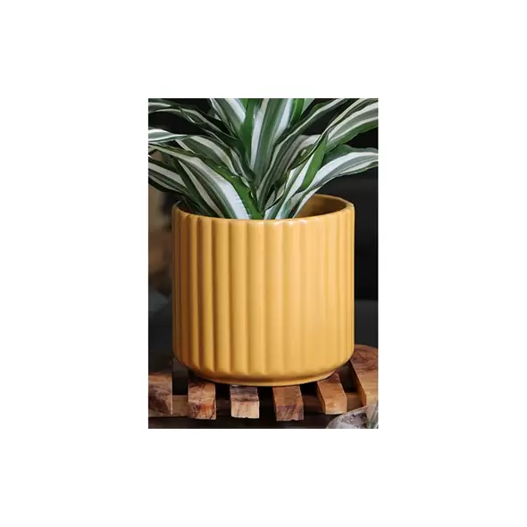 Palm Spring 5.5" Brush Comb Mst Planter