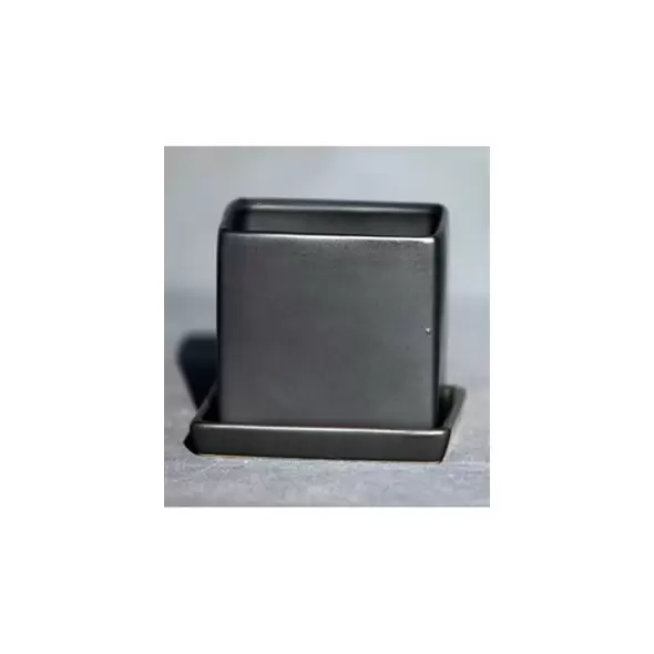 Palm Spring 2.5" Cube Pot with Ds Mcg