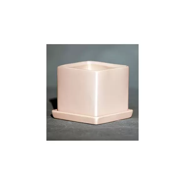 Palm Spring 4.5" Cube Pot with Ds Mpk