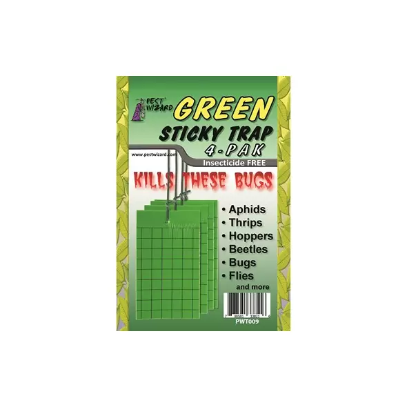 Pest Wizard 4pk Sticky Trap Green