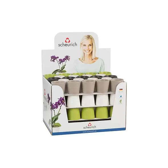 Scheurich 2.75" Expressive Assorted 937/07 Planter