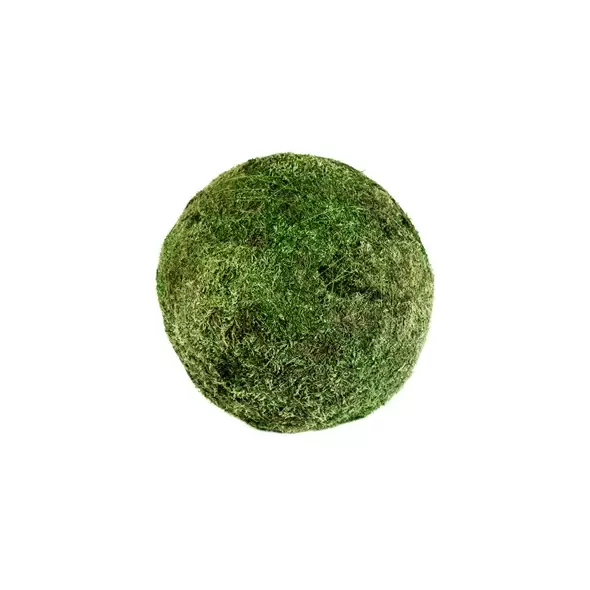 SuperMoss 18" Sheet Moss Ball Fresh Green Bulk