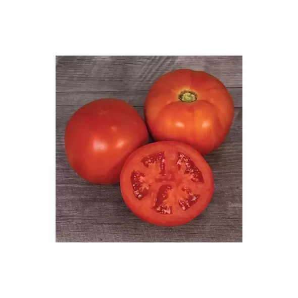 Tomato, Mountain Man - 100 Seed Count