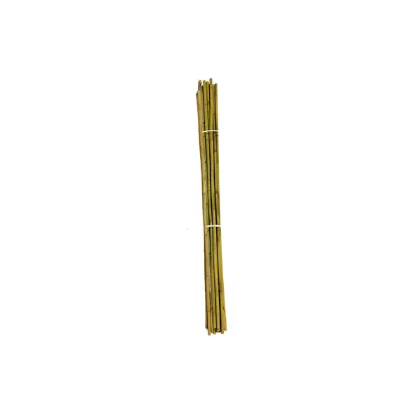 A&G 3/4"x6' Bamboo Stake