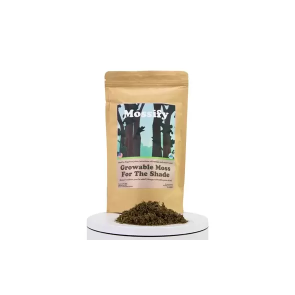 Mossify Shade Growable Moss