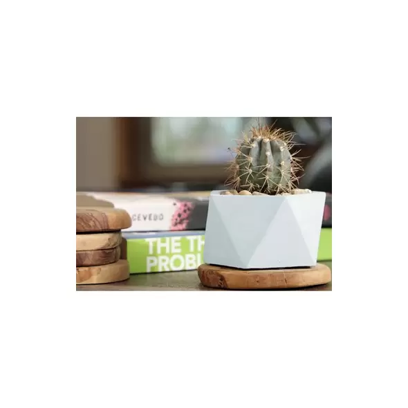 Geo 6.5" Pentagon Planter