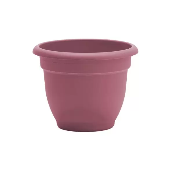 Bloem 8" Ariana Planter Dusty Rose