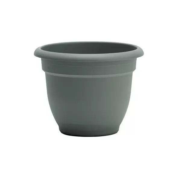 Bloem 8" Ariana Planter Basil