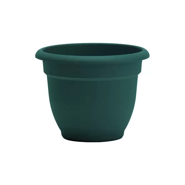 Bloem 8" Ariana Planter Charleston Green