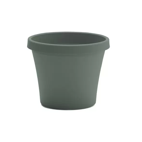 Bloem 6" Terra Planter Basil
