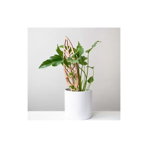Treleaf 12" Anthrulla Regular Staked Cherry Finish Classic Collection