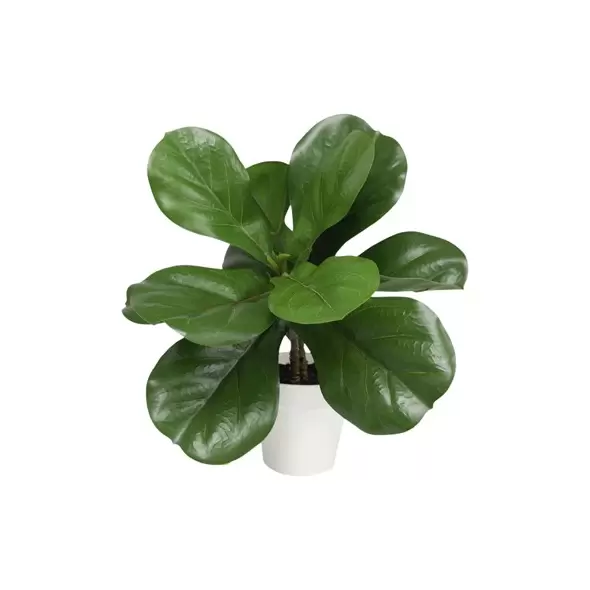 Algreen 16" Potted Ficus 13 Leaf