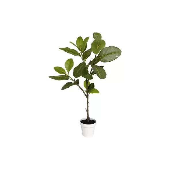 Algreen 38" Alpine Ficus