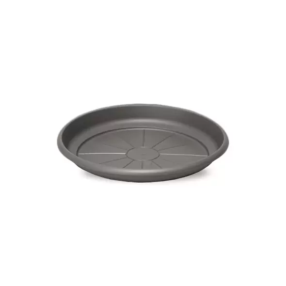 Crescent 8" Emma Saucer Charcoal