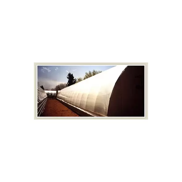 GRTK 4YR 6M IRAC MAX 20X150 TUBE