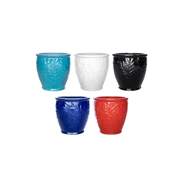 MCarr 30pc Round Fern Planter Pallet Mixed Colors