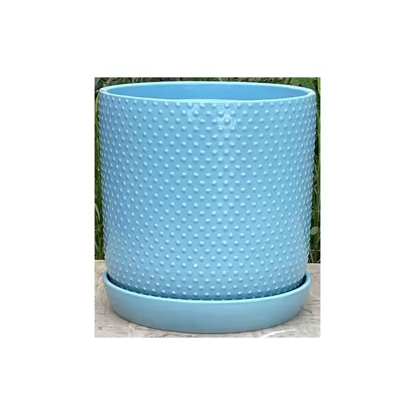 PHG 5"x5.5" Dotted Cylinder Planter Pastel Light Blue 8/CS