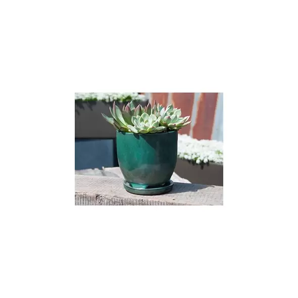 Verandah 7" Jade Maui Orchid Pot